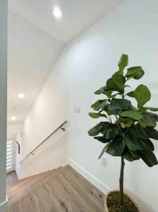 4Br Townhouse In Koreatown Los Angeles Bagian luar foto